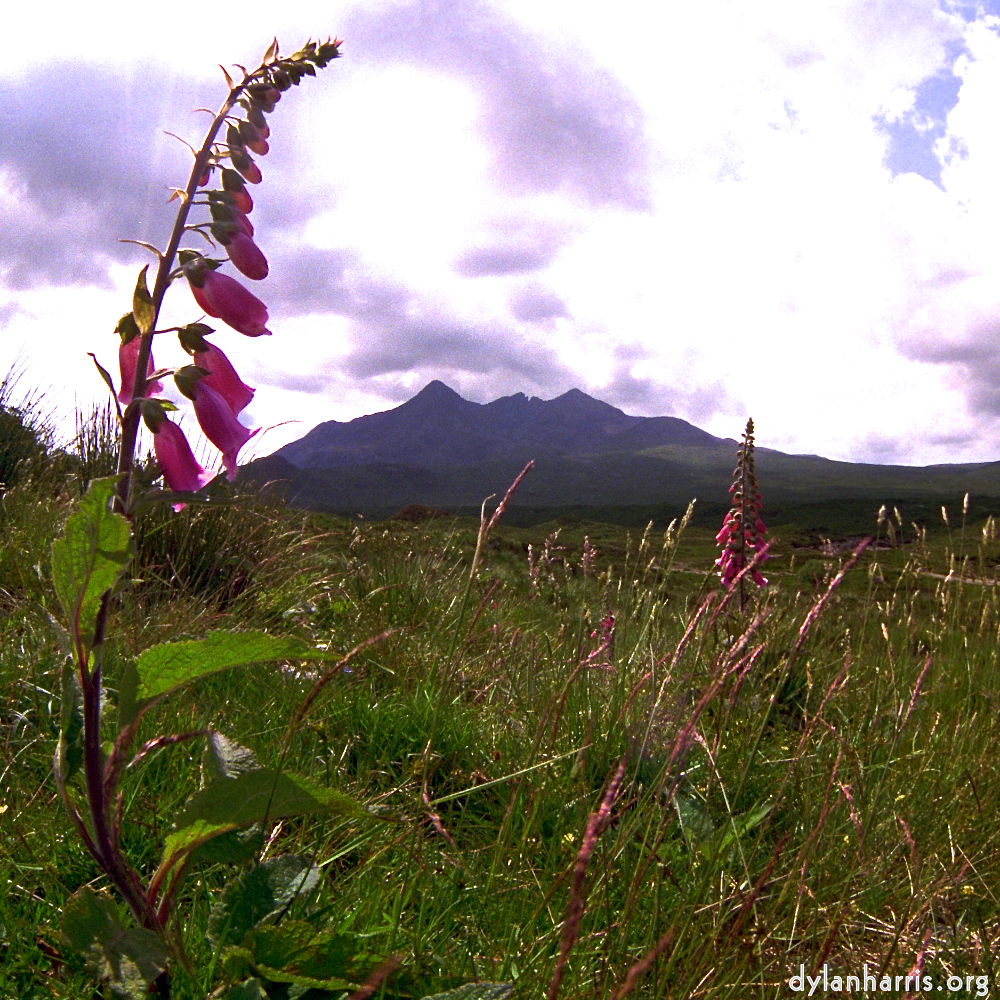 image: This is ‘
highlands (iv) 6
’.