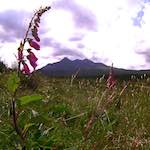 image: Image from the photoset ‘
highlands (iv)
’.