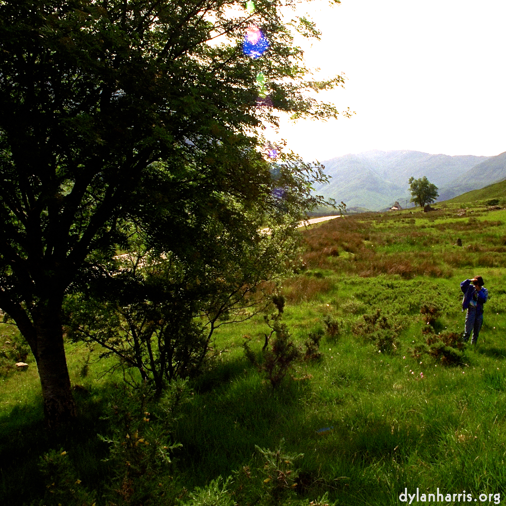 Image 'LVL (iii) 2'.