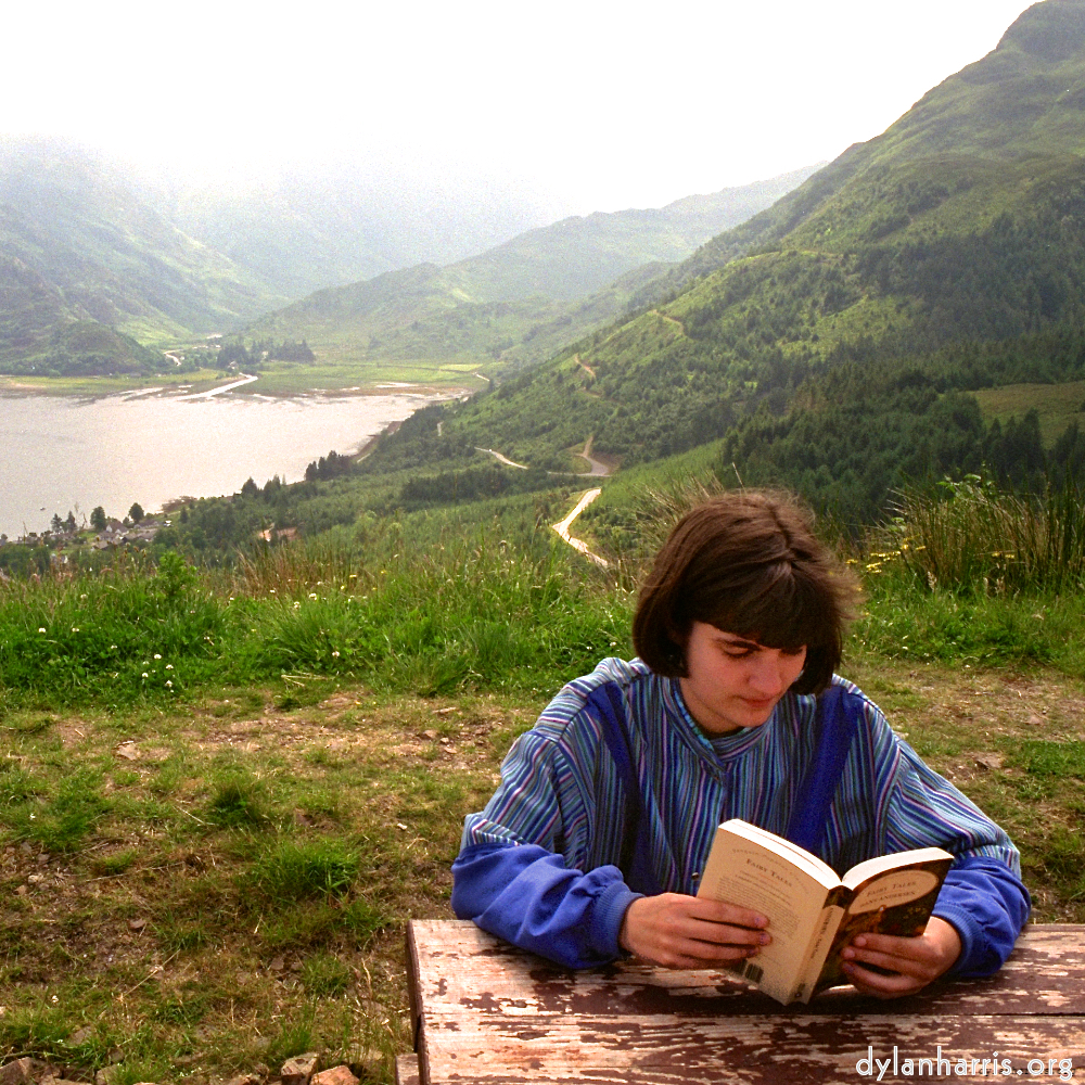 Image: Image 'LVL (iii) 3'.