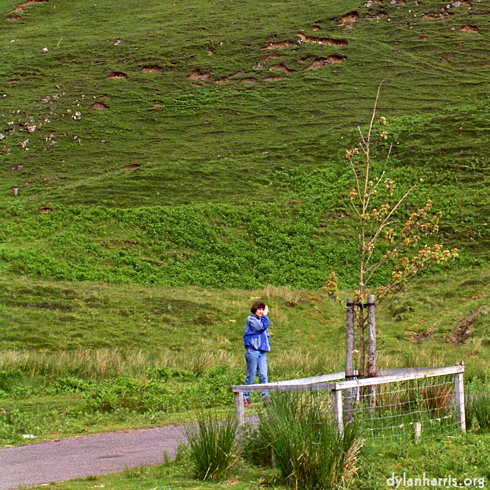 Image 'LVL (iii) 4'.