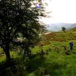 Image: Second image from the photoset 'LVL (iii)'.