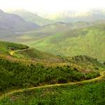 Image: First image from the photoset 'highlands (vii)'.