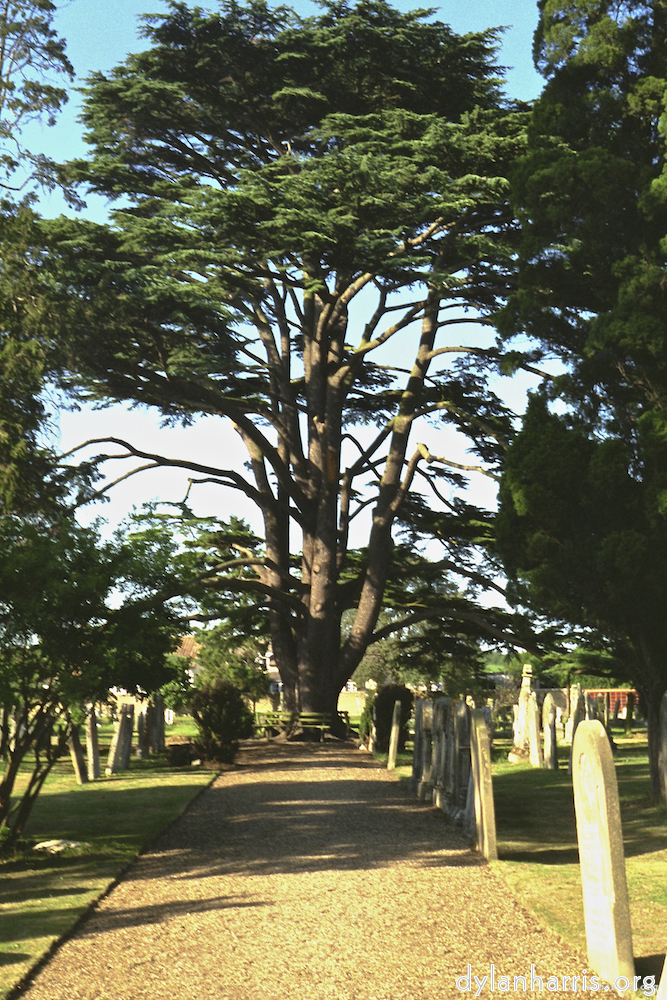 image: This is ‘
untitled (ix) 6
’.