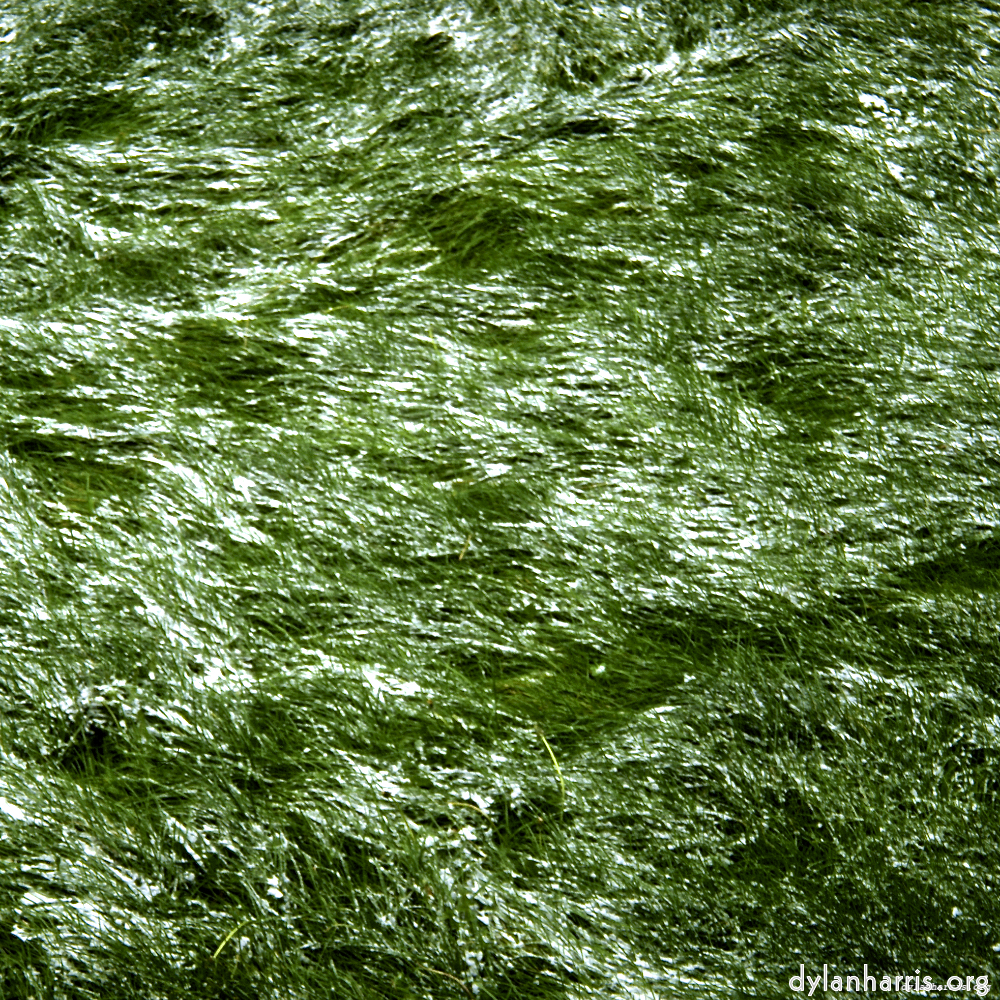 image: This is ‘
untitled (xxi) 3
’.