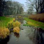 image: Image from the photoset ‘
untitled (xxi)
’.