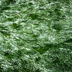 image: Image from the photoset ‘
untitled (xxi)
’.