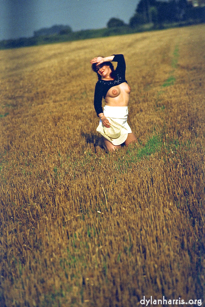 Image: Image 'kerry (xvii) 2'.