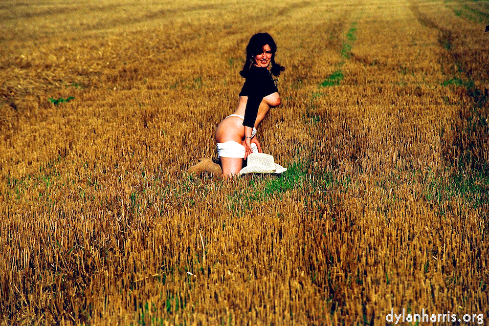 Image: Image 'kerry (xviii) 1'.