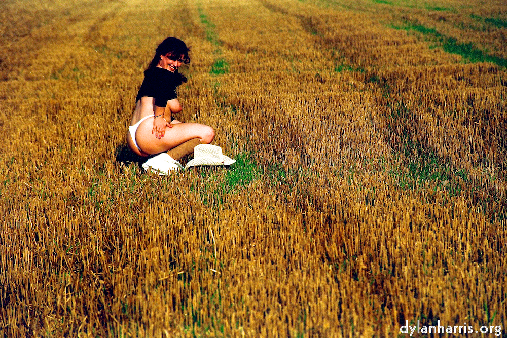 Image: Image 'kerry (xviii) 3'.