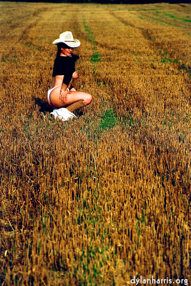 Image: Image 'kerry (xix) 3'.