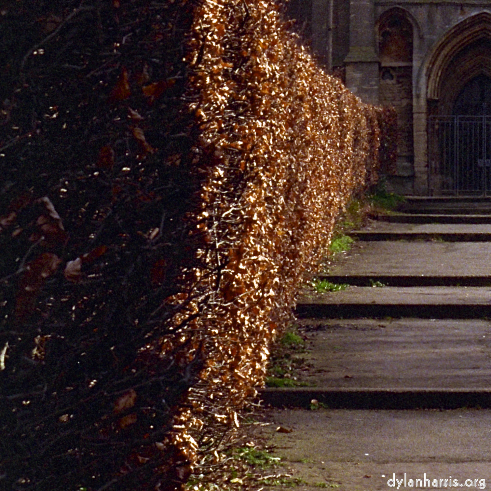 Image 'raunds (i) 1'.