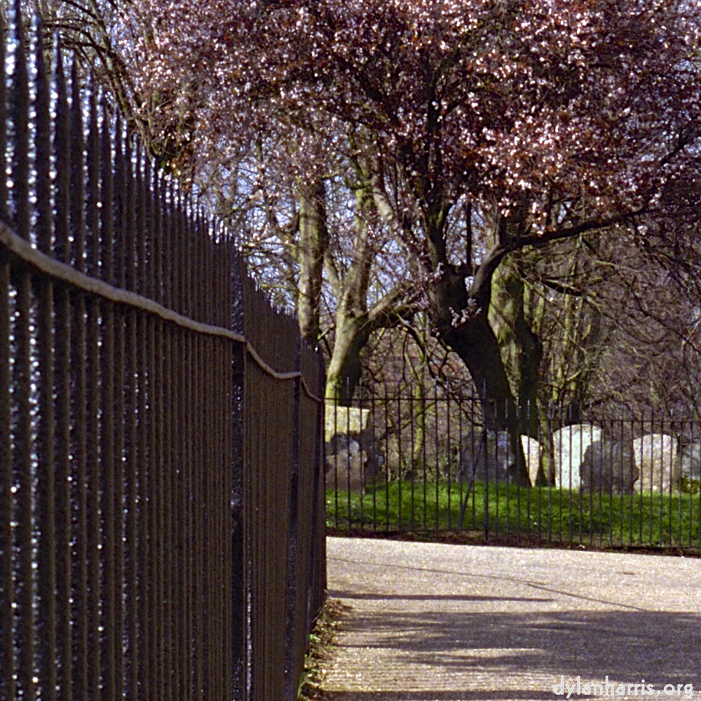 Image: Image 'raunds (i) 5'.