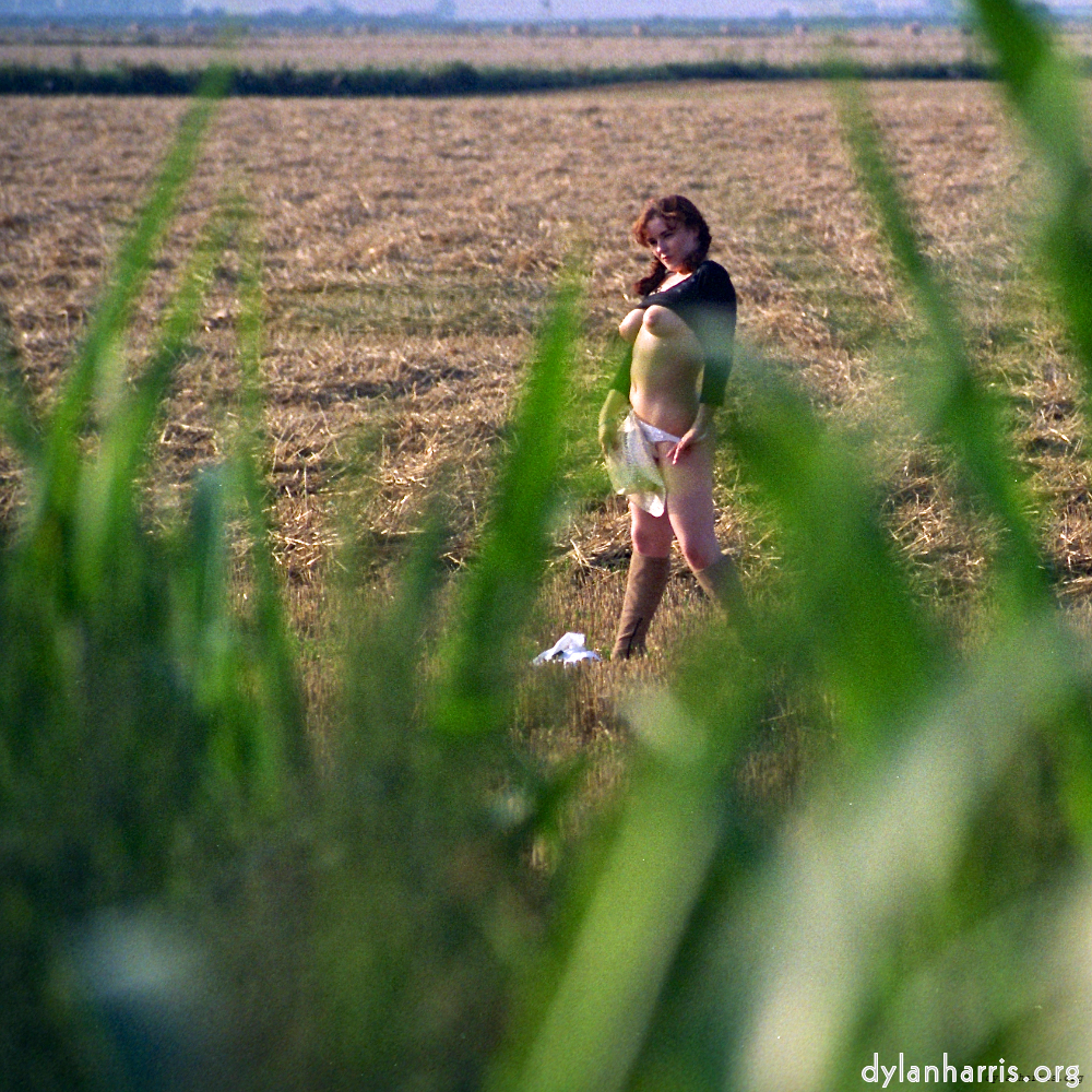 Image: Image 'kerry (xxvii) 1'.