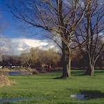 image: Image from the photoset ‘
untitled (xxii) 
’.