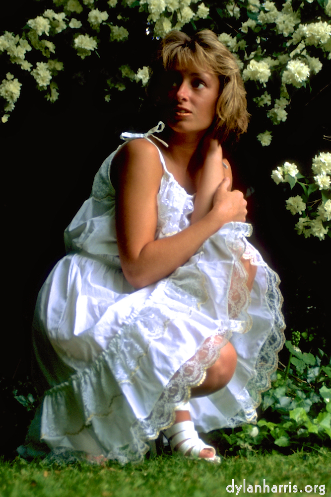 Image: Image 'lisa (iii) 1'.