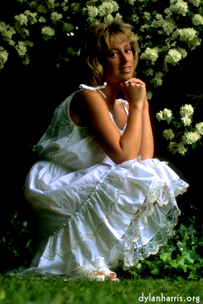 Image: Image 'lisa (iii) 2'.