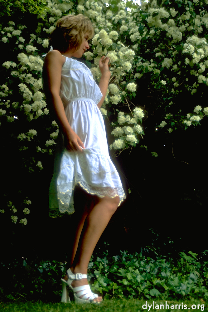 Image: Image 'lisa (iii) 3'.