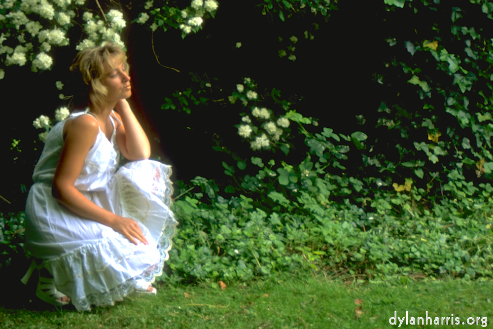 Image 'lisa (iv) 1'.