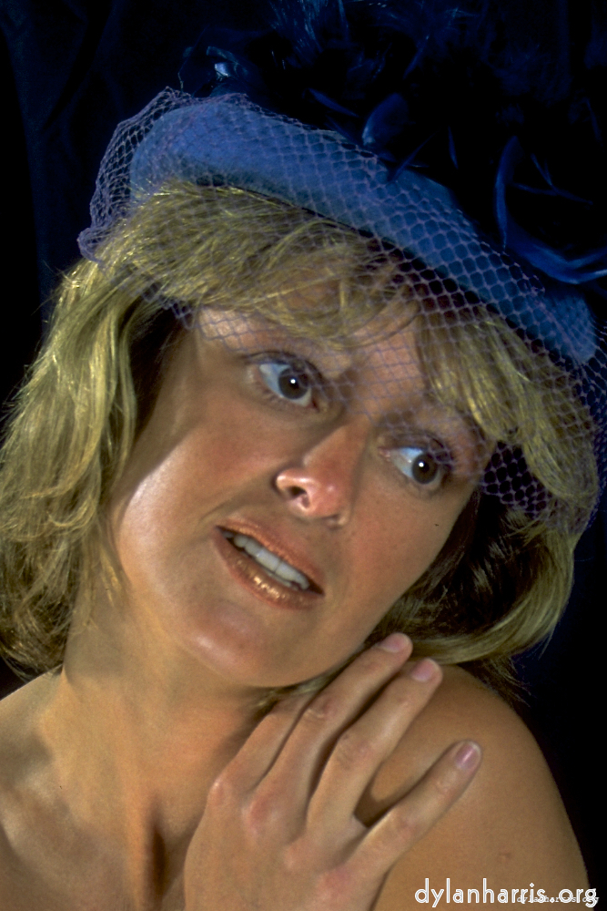 Image 'lisa (vii) 7'.