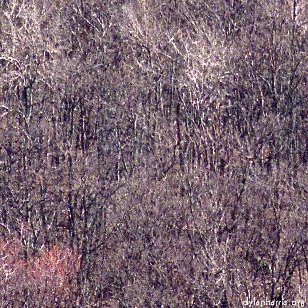 wood image: an image