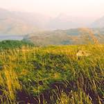 Second image from the photoset 'highlands (viii)'.