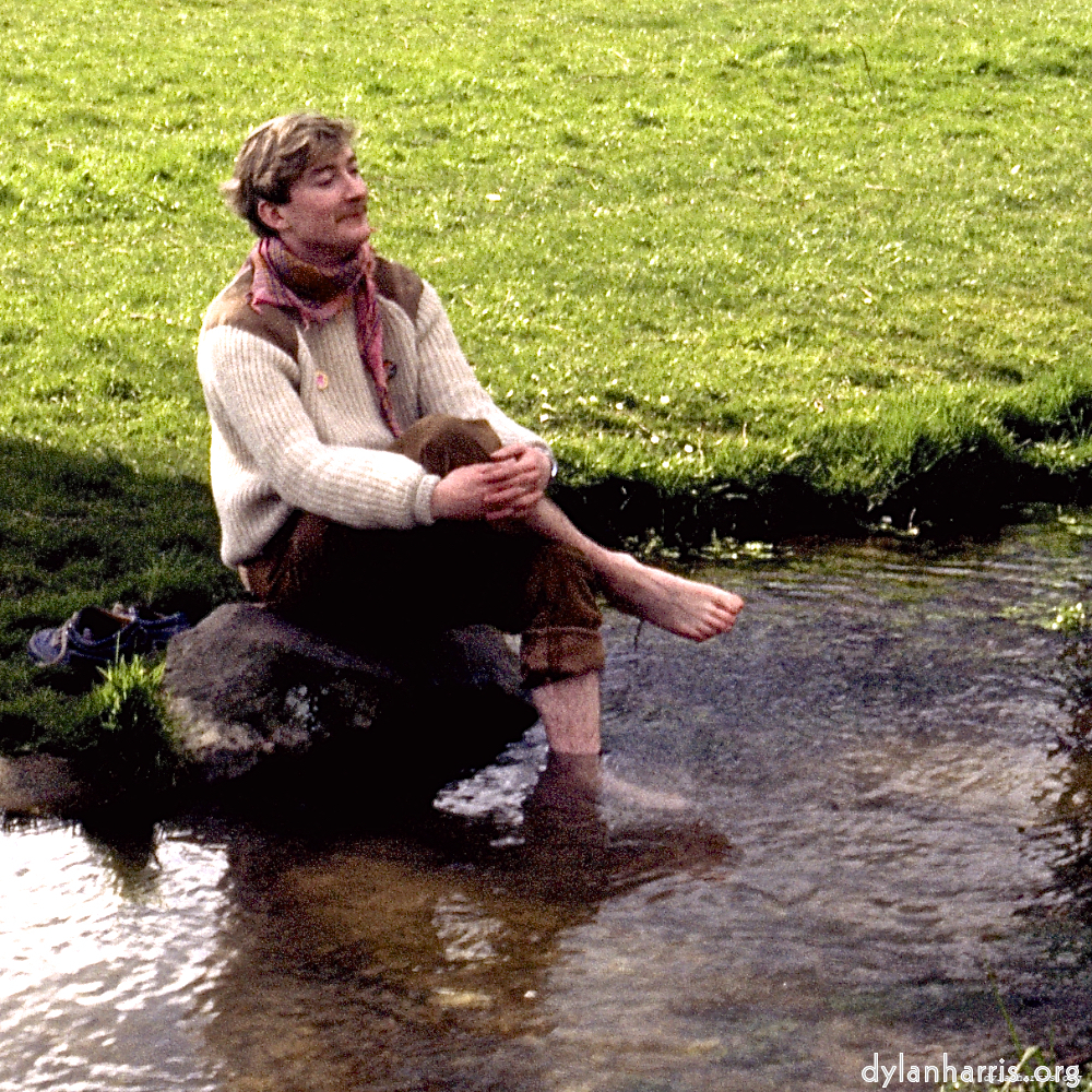 Image: Image 'YLs (vii) 2'.