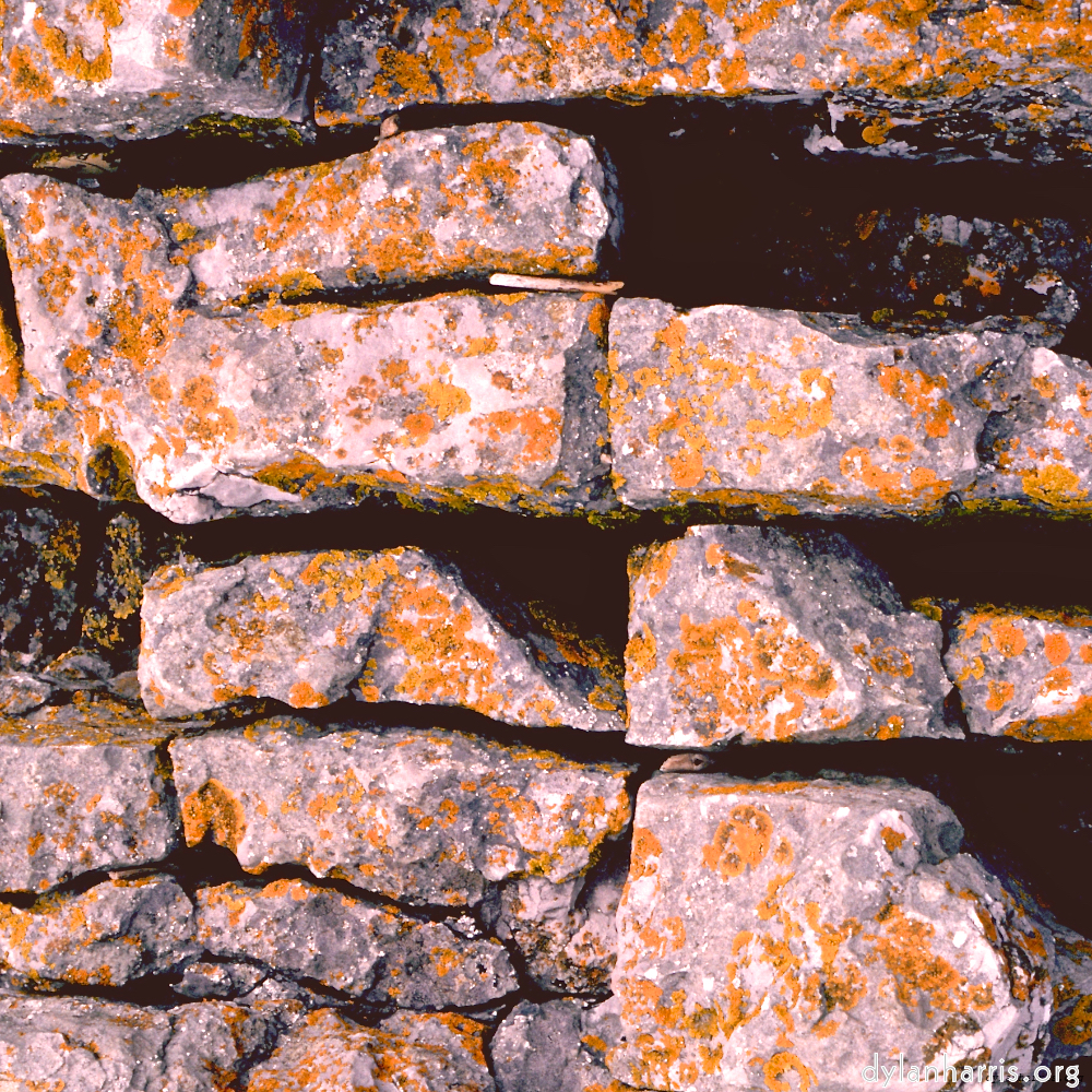 Image: Image 'untitled (xi) 1'.