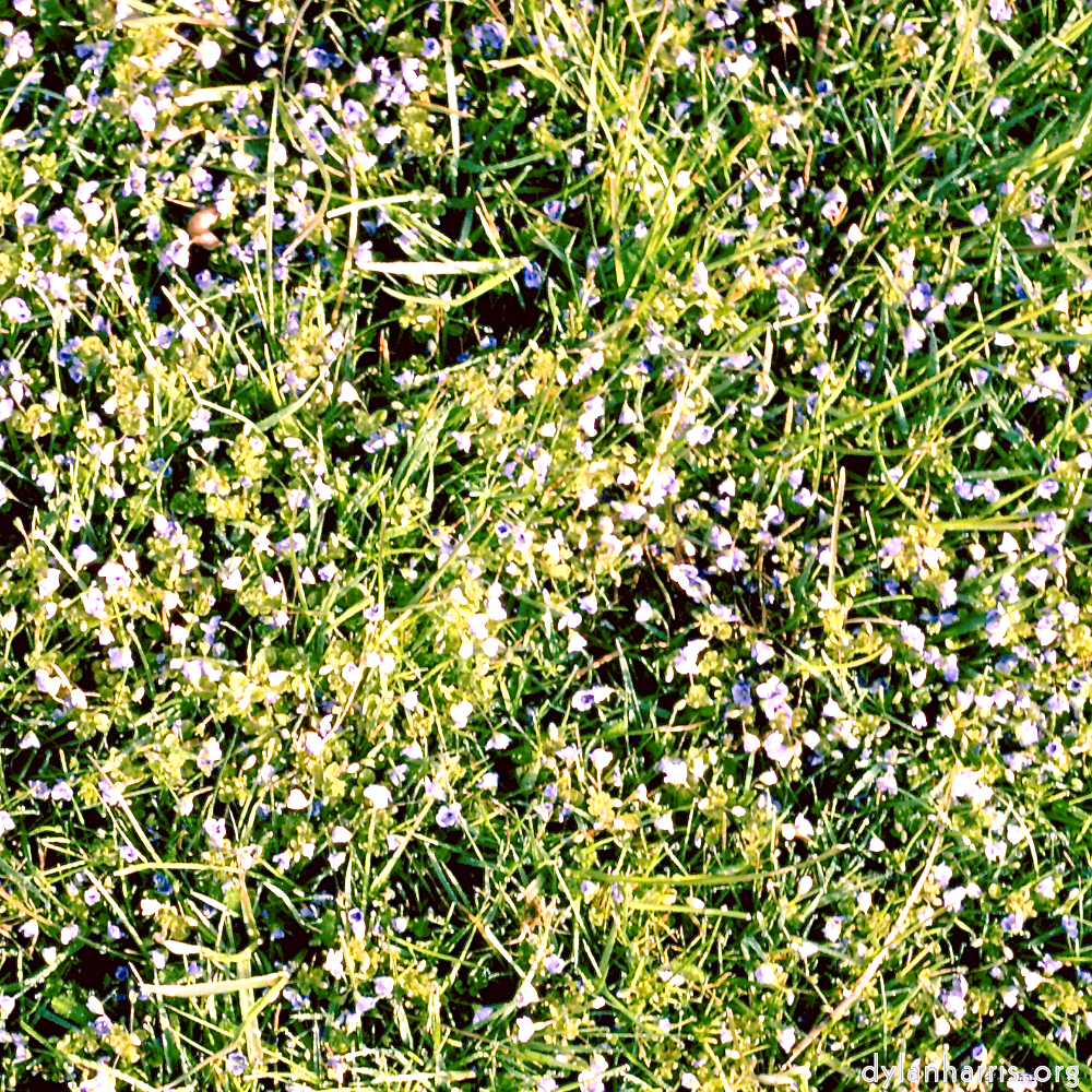 Image: Image 'untitled (xi) 2'.