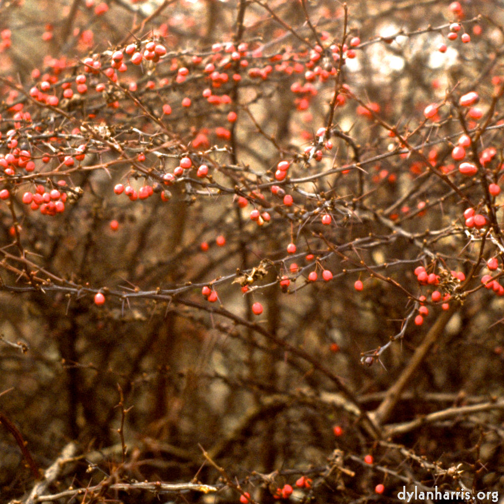 image: This is ‘
untitled (xi) 5
’.