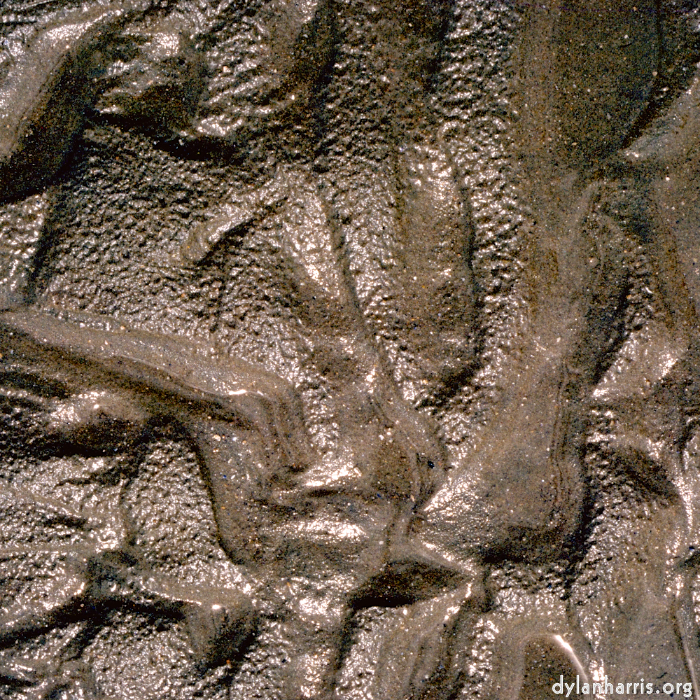 image: This is ‘
untitled (xi) 6
’.