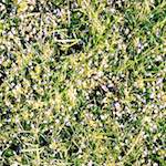 image: Image from the photoset ‘
untitled (xi) 
’.