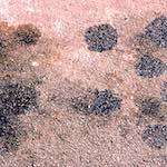 image: Image from the photoset ‘
untitled (xi) 
’.