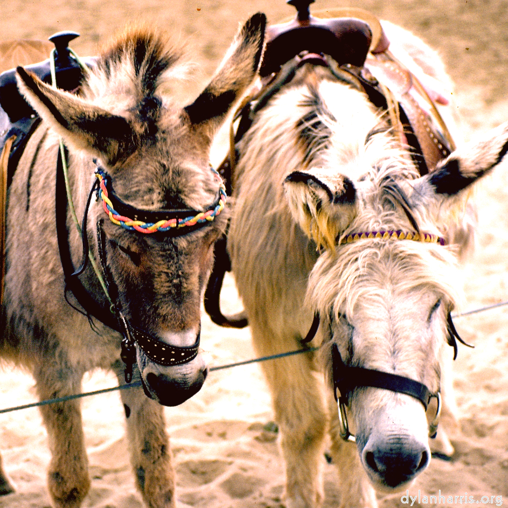 image: This is ‘
untitled (xiv) 2
’.