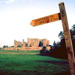 image: Image from the photoset ‘
untitled (xiv)
’.