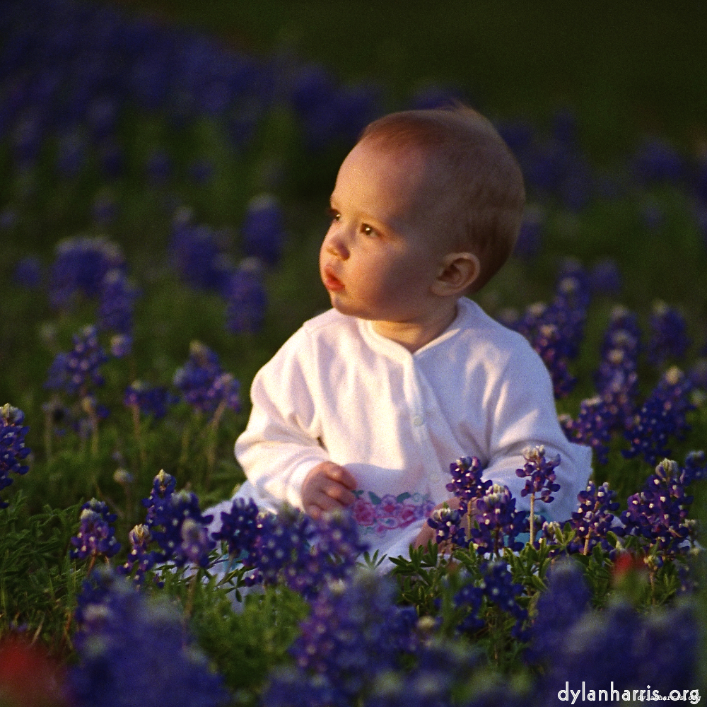 image: This is ‘
G (ii) 3
’.