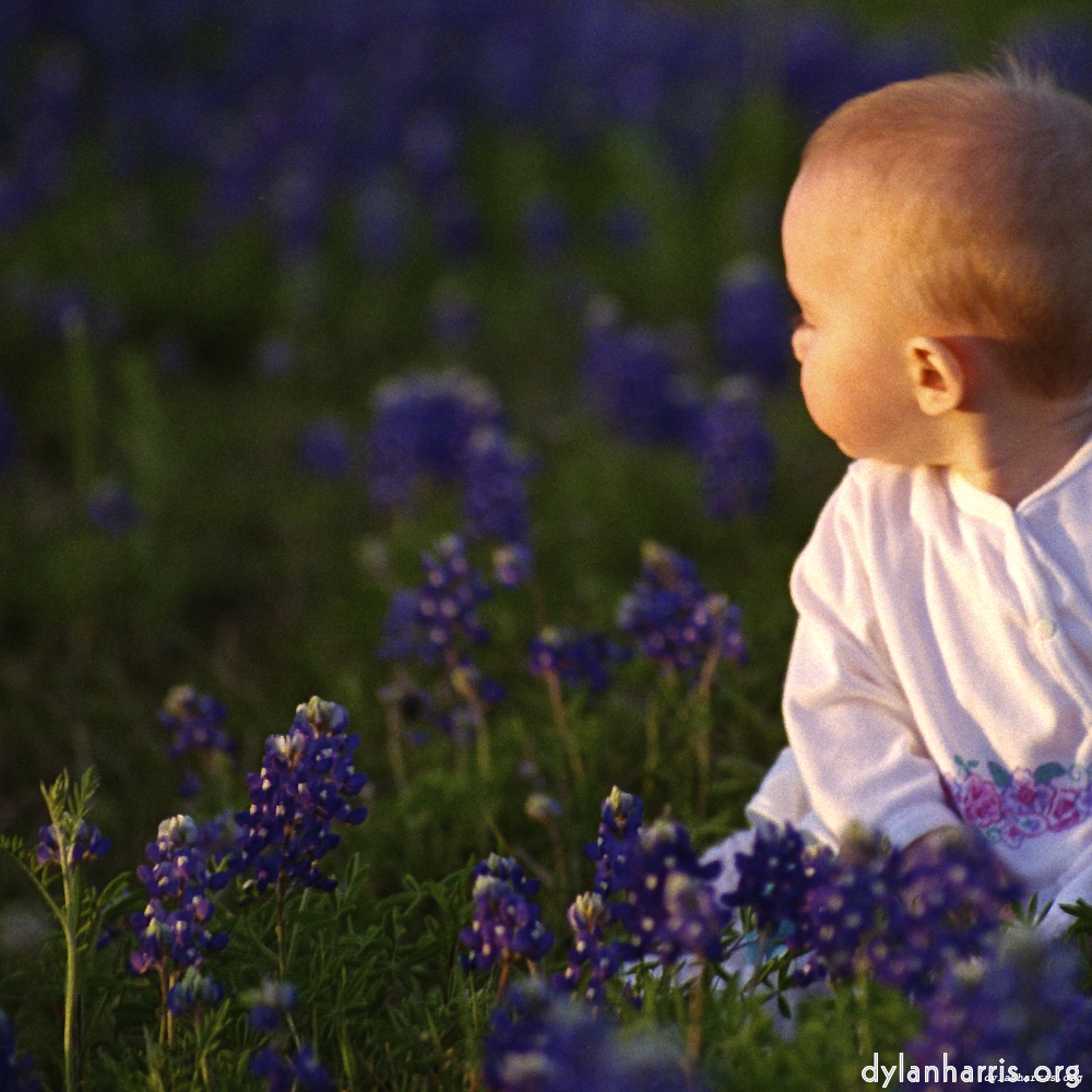 image: This is ‘
G (ii) 4
’.