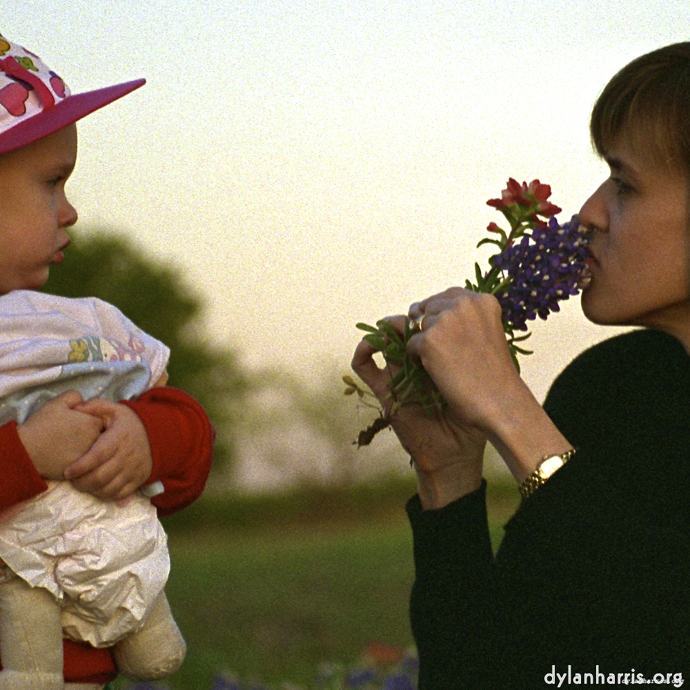 Image 'family (v) 2'.