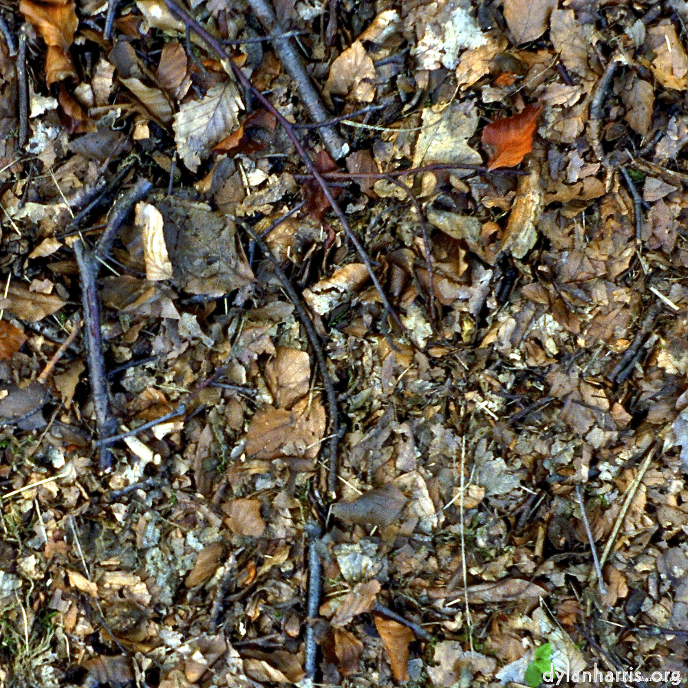 image: This is ‘
untitled (xvii) 1
’.