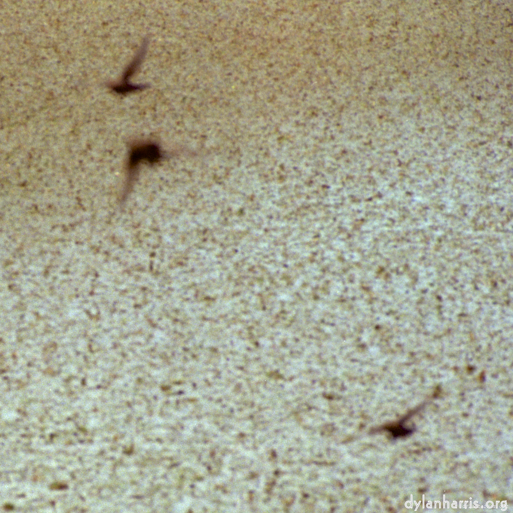 image: This is ‘
untitled (xvii) 2
’.