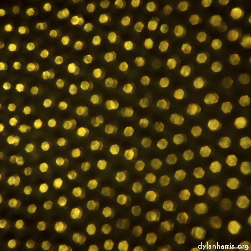 image: This is ‘
untitled (xvii) 4
’.