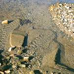 image: Image from the photoset ‘
untitled (xvii) 
’.