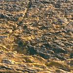 image: Image from the photoset ‘
untitled (xvii) 
’.