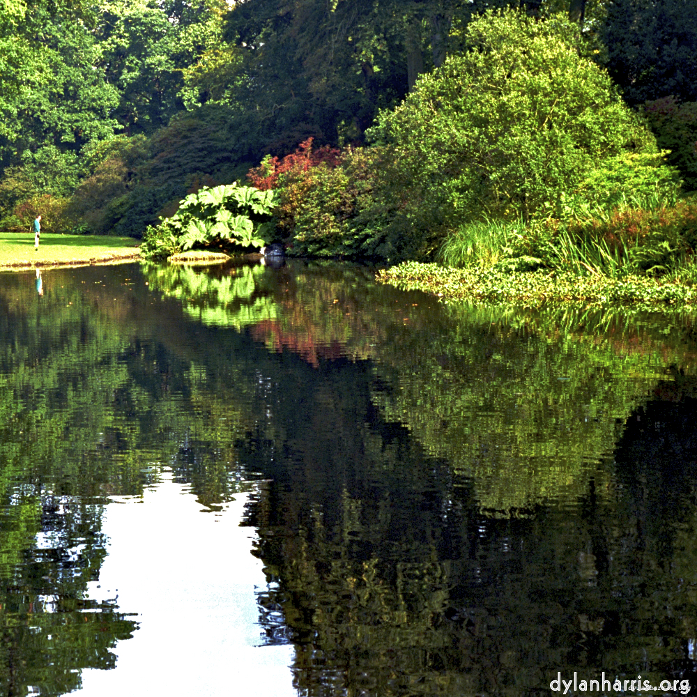 image: This is ‘
wood (xi) 5
’.