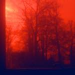 image: Image from the photoset ‘
untitled (xviii) 
’.