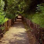 image: Image from the photoset ‘
untitled (xix)
’.