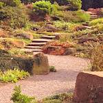 Image: Second image from the photoset 'flower (ii) '.