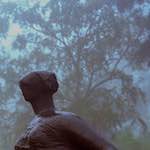 Second image from the photoset 'norwich (i)'.