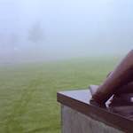 Fourth image from the photoset 'norwich (i)'.