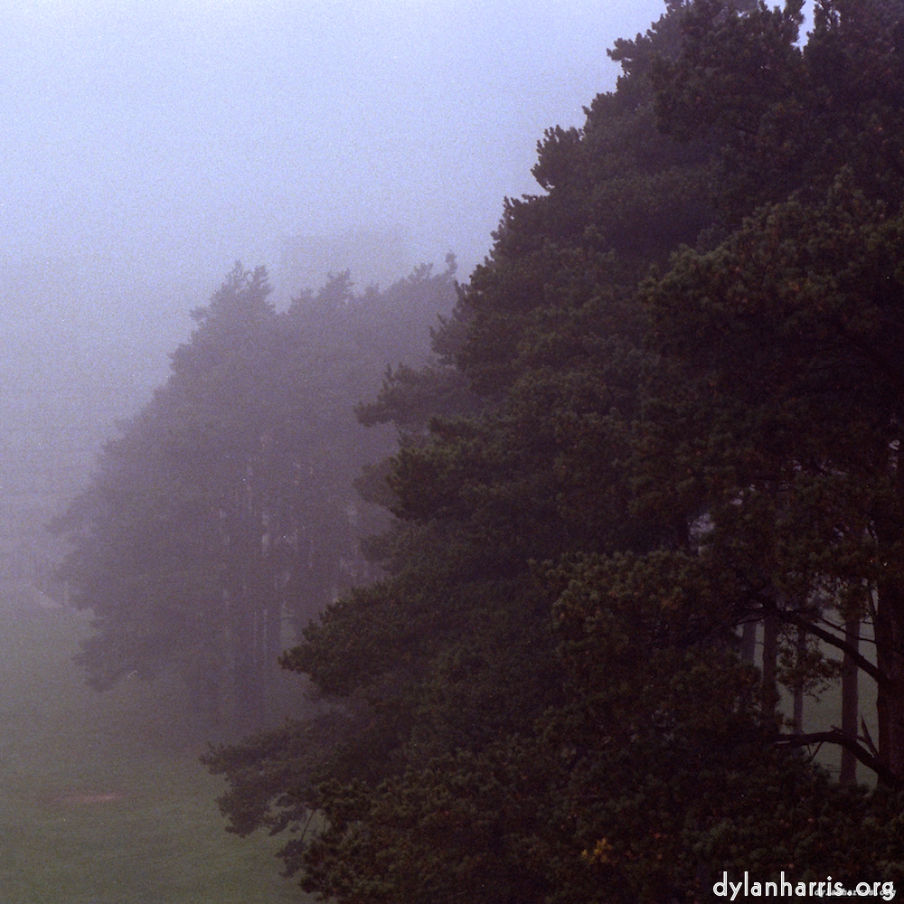 Image 'norwich (ii) 8'.